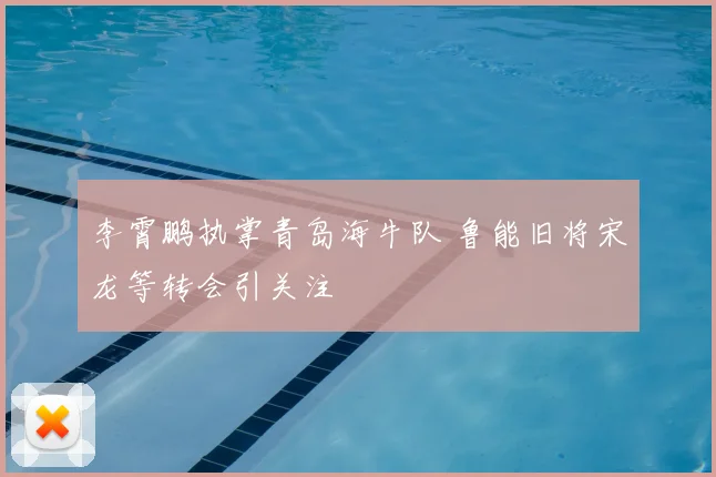 李霄鹏执掌青岛海牛队 鲁能旧将宋龙等转会引关注